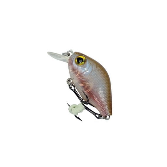 Text